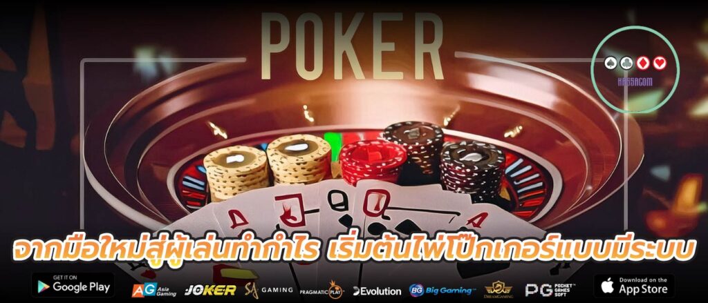 จากมือใหม่สู่ผู้เล่นทำกำไร เริ่มต้นไพ่โป๊กเกอร์แบบมีระบบ